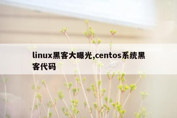 linux黑客大曝光,centos系统黑客代码