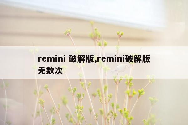 remini 破解版,remini破解版无数次