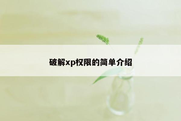 破解xp权限的简单介绍