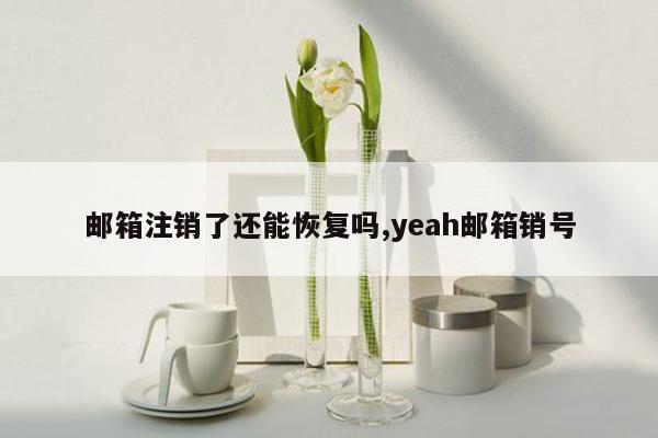 邮箱注销了还能恢复吗,yeah邮箱销号