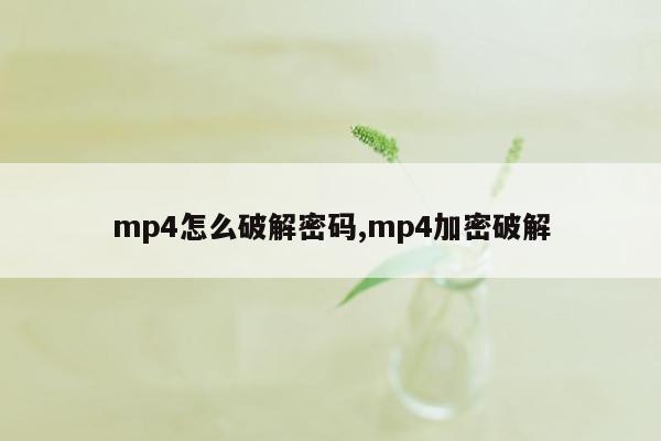 mp4怎么破解密码,mp4加密破解