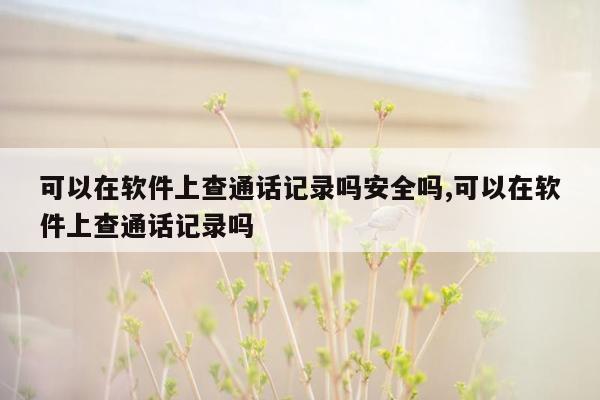 可以在软件上查通话记录吗安全吗,可以在软件上查通话记录吗