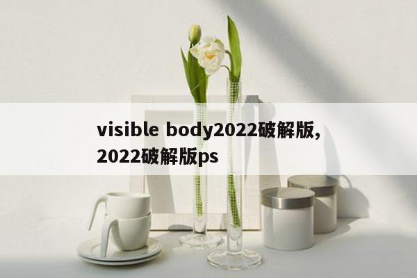 visible body2022破解版,2022破解版ps