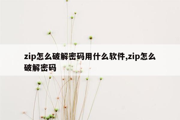 zip怎么破解密码用什么软件,zip怎么破解密码