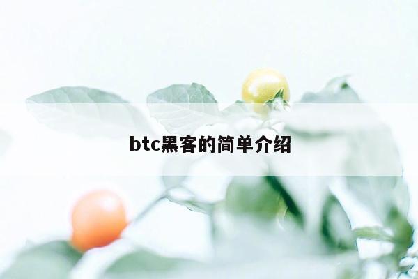 btc黑客的简单介绍