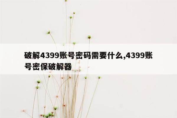 破解4399账号密码需要什么,4399账号密保破解器