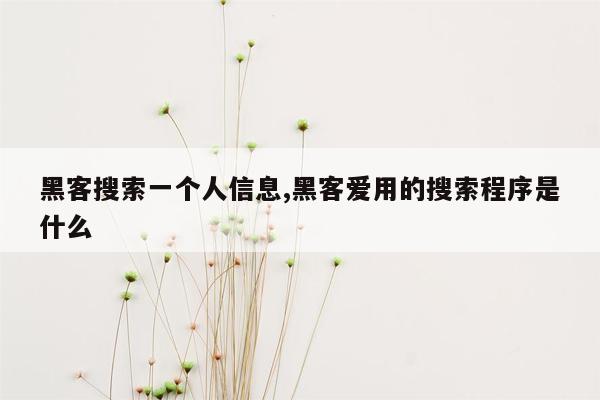 黑客搜索一个人信息,黑客爱用的搜索程序是什么