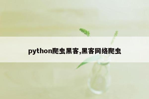 python爬虫黑客,黑客网络爬虫