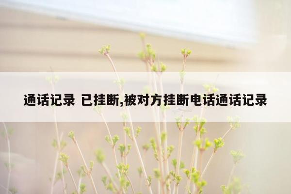 通话记录 已挂断,被对方挂断电话通话记录