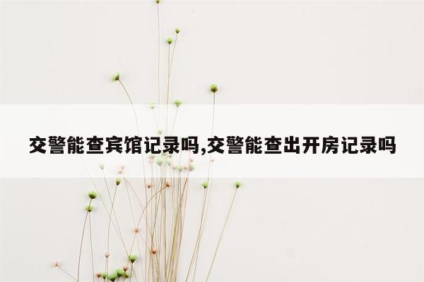 交警能查宾馆记录吗,交警能查出开房记录吗