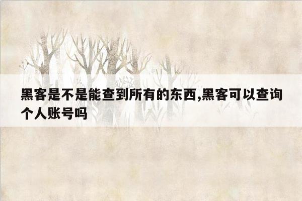 黑客是不是能查到所有的东西,黑客可以查询个人账号吗