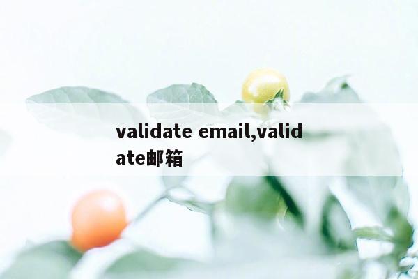 validate email,validate邮箱