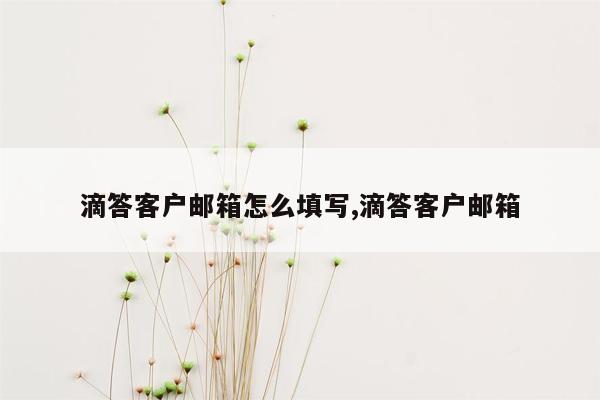 滴答客户邮箱怎么填写,滴答客户邮箱