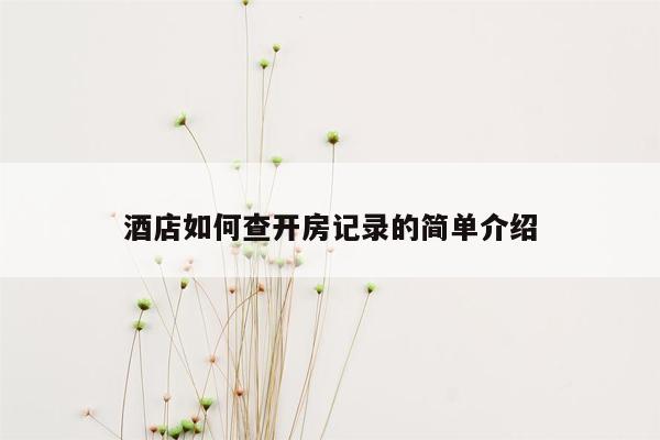 酒店如何查开房记录的简单介绍