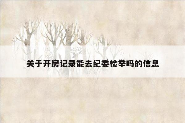 关于开房记录能去纪委检举吗的信息