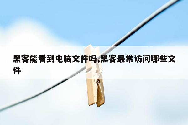 黑客能看到电脑文件吗,黑客最常访问哪些文件