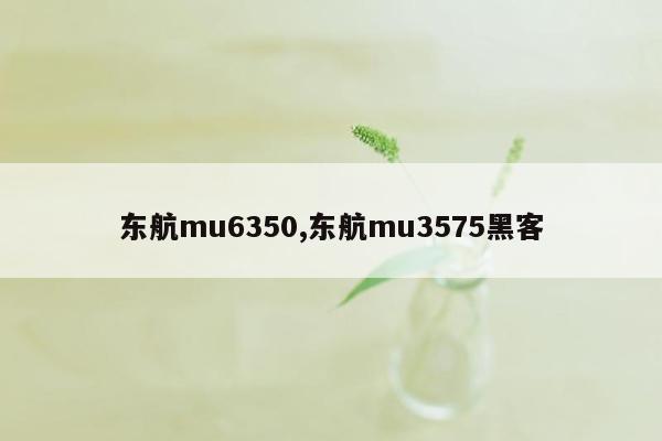 东航mu6350,东航mu3575黑客