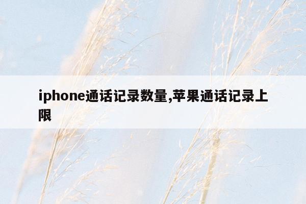 iphone通话记录数量,苹果通话记录上限