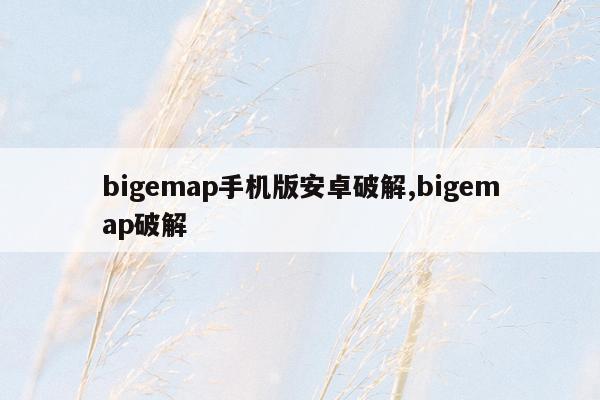 bigemap手机版安卓破解,bigemap破解