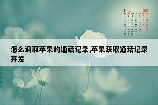 怎么调取苹果的通话记录,苹果获取通话记录开发