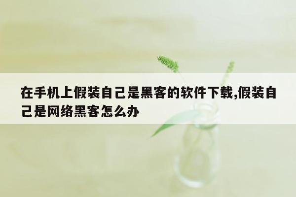 在手机上假装自己是黑客的软件下载,假装自己是网络黑客怎么办