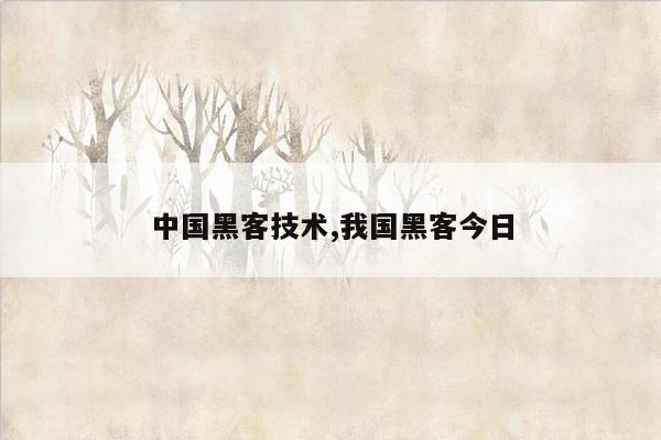 中国黑客技术,我国黑客今日