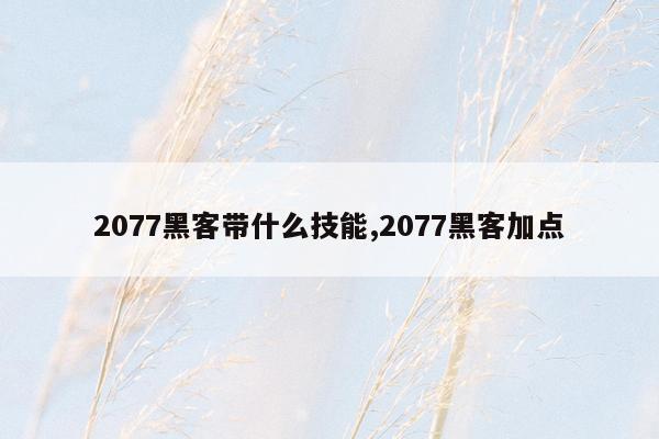 2077黑客带什么技能,2077黑客加点