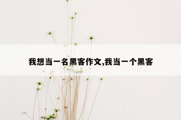 我想当一名黑客作文,我当一个黑客