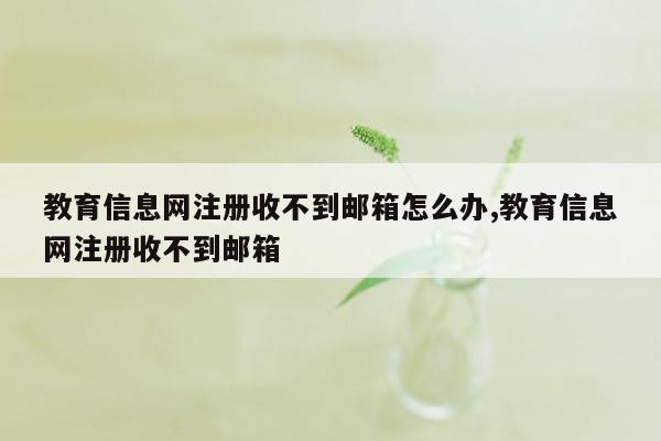 教育信息网注册收不到邮箱怎么办,教育信息网注册收不到邮箱