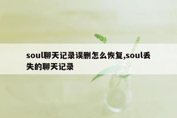 soul聊天记录误删怎么恢复,soul丢失的聊天记录