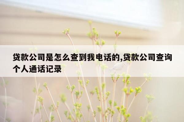 贷款公司是怎么查到我电话的,贷款公司查询个人通话记录