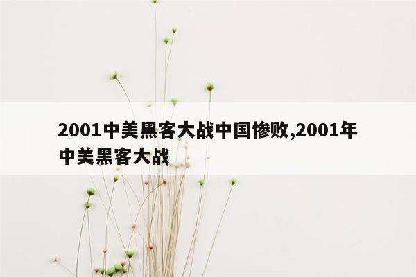 2001中美黑客大战中国惨败,2001年中美黑客大战