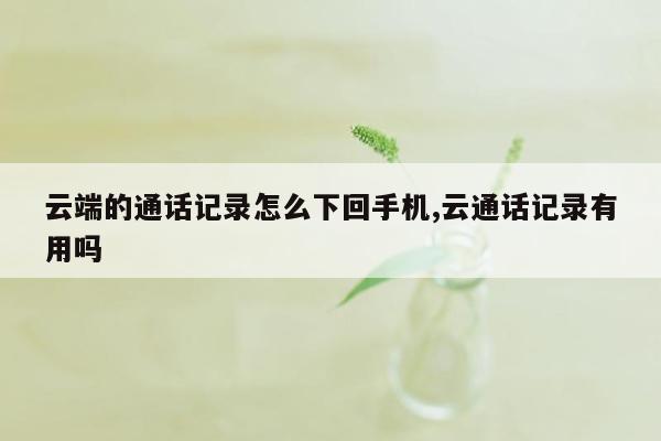 云端的通话记录怎么下回手机,云通话记录有用吗