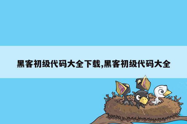 黑客初级代码大全下载,黑客初级代码大全