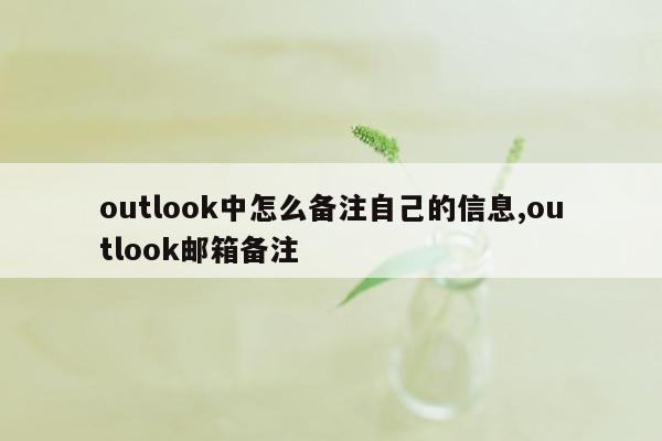 outlook中怎么备注自己的信息,outlook邮箱备注