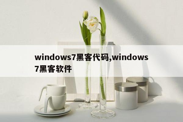 windows7黑客代码,windows7黑客软件