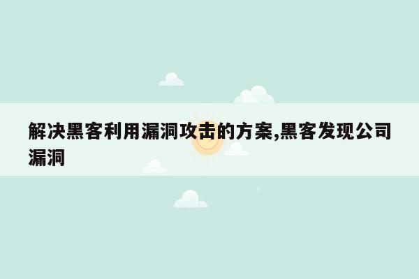 解决黑客利用漏洞攻击的方案,黑客发现公司漏洞