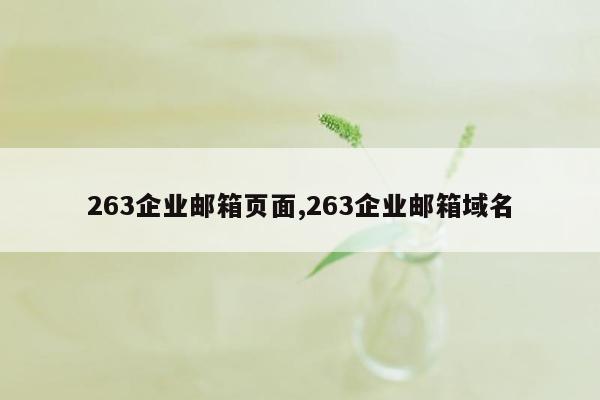 263企业邮箱页面,263企业邮箱域名