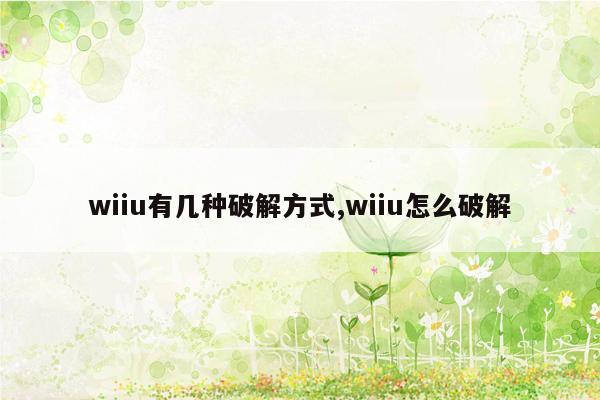 wiiu有几种破解方式,wiiu怎么破解