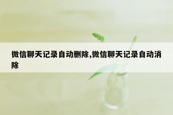 微信聊天记录自动删除,微信聊天记录自动消除