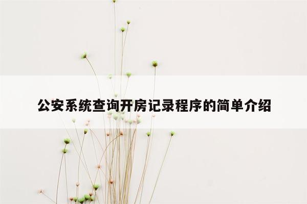 公安系统查询开房记录程序的简单介绍