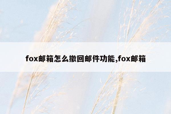 fox邮箱怎么撤回邮件功能,fox邮箱