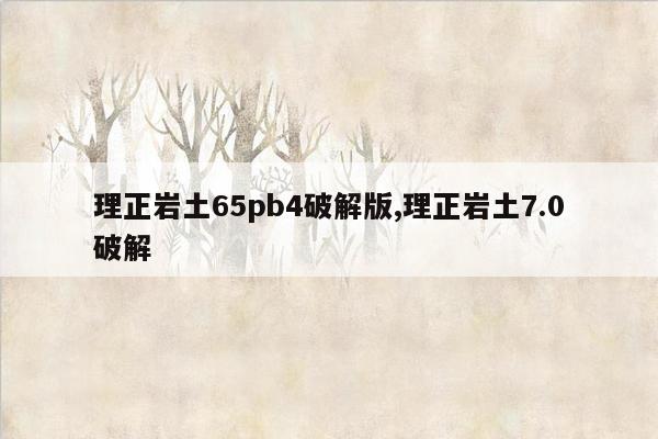 理正岩土65pb4破解版,理正岩土7.0破解