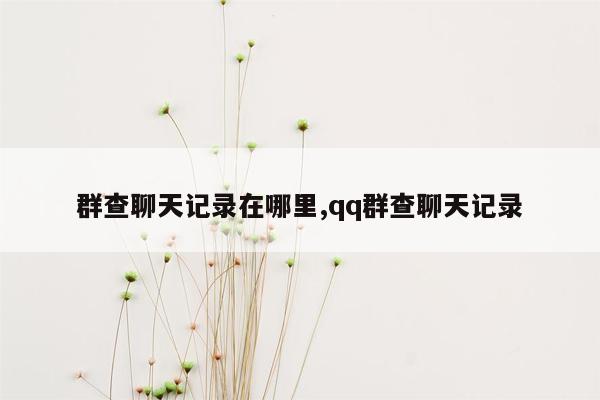 群查聊天记录在哪里,qq群查聊天记录