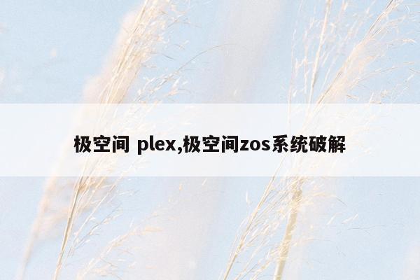 极空间 plex,极空间zos系统破解