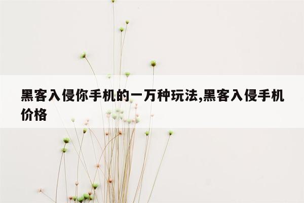 黑客入侵你手机的一万种玩法,黑客入侵手机价格