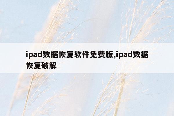 ipad数据恢复软件免费版,ipad数据恢复破解