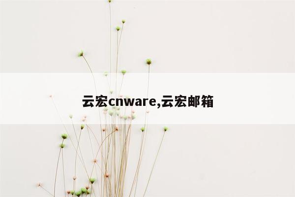 云宏cnware,云宏邮箱