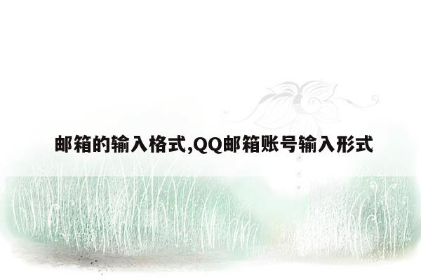  邮箱的输入格式,QQ邮箱账号输入形式