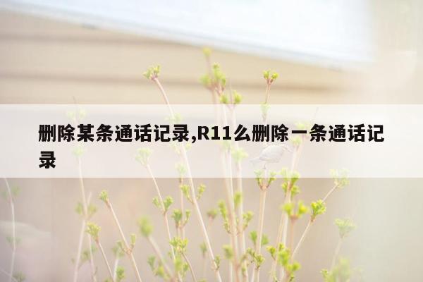 删除某条通话记录,R11么删除一条通话记录